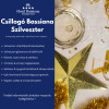 Sylwester z gwiazdami, Hotel Bassiana ****, Sárvár, Sárvár, Węgry