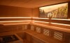 Wellness, Vital- und Wellnesshotel Albblick ****, Niemcy