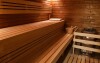 Wellness, Hotel Alf ***, Borovany, Czechy Południowe