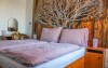 Pokój dwuosobowy, Hotel Alf ***, Borovany, Czechy Południowe