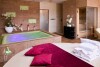 Wellness, zamek Petrovice