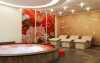 Wellness, zamek Petrovice