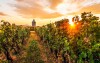 Velké Bílovice, Morawy Południowe, wino