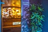 Wellness, Hotel Stáció, Vecsés, Węgry