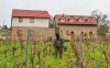 Degustacja wina, Vinařství Lintner u Znojmo