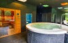 Centrum Wellness, Parkhotel Carlsbad Inn ****, Karlowe Wary
