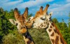 ZOO Pilzno