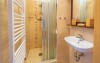 Pokój standardowy, Hotel Panský dům *** niedaleko Pilzna