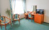Pokój, Hotel Dvořák ****, Czeskie Budziejowice