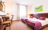 Pokój dwuosobowy Standard Twin, Boutique Eco Hotel Sasanka
