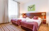 Pokój dwuosobowy Standard Twin, Boutique Eco Hotel Sasanka