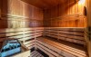 Wellness, Schronisko Orlík, Pec pod Sněžkou