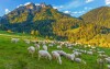 Turystyka górska, krajobrazy, Tatry Niskie, Słowacja
