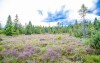 Miłego pobytu na torfowiskach Božídar i Fichtelberg