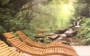 Wellness u podnóża Jesionik, Relax Pension Schönwald ***