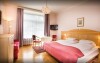 Pokój panoramiczny z balkonem, Hotel Alpenblick ***