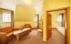 Apartament, Hotel Záviš z Falkenstein ****