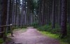 Karkonosze zachwycą latem i zimą