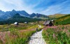 Polskie Tatry