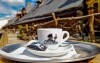 Kawa, Peklo Čertovina - Hotel Kocourkov, Hlinsko