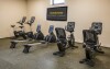 Fitness, Zamek Šanov *****, środkowe Czechy