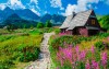 Polskie Tatry