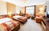 Pokój, Hotel Artaban ****, Žirovnice, Vysočina