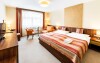 Pokój, Hotel Artaban ****, Žirovnice, Vysočina