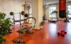 Fitness, Wellness Hotel Gendorf, Vrchlabí, Karkonosze