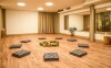 Studio jogi, Wellness Hotel Gendorf, Vrchlabí, Karkonosze