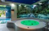 Wellness, Krasicki Resort Hotel & Spa ***, Świerad