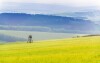 Białe Karpaty