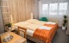 Pokoje, Hotel Panon ***, Hodonin, Morawy Południowe