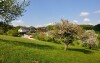 Hotel Wienerwaldhof ****, Tullnerbach, Austria