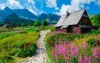 Polskie Tatry