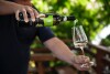 Wino, pensjonat i winiarnia Dobrovolný, Znojmo