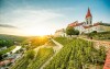 Pobyt w NP Podyjí i Znojmo