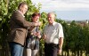 Vinohrad, JUFA Hotel Weinviertel***s, Seefeld-Kadolz