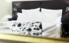 Pokój typu comfort, Pytloun Design Hotel ****, Liberec