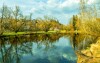 Las Bawarski, Niemcy
