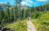 Odkryj piękno polskiej strony Beskidów, Vislow Resort