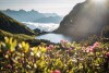 Tyrol, Austria
