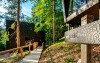 Zewnętrze, Hotel Fischerwirt Natur.WaldSPA ****, Faistenau, Austria