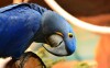 Zoo Berlin, Berlin, Niemcy