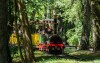 Kolejka w lesie, Tiergarten Nürnberg, Norymberga, Niemcy