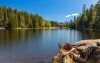 Jezioro otoczone lasami, BERGlässig Hotel Bodenmais ****, Bodenmais, Niemcy