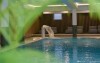 Kryty basen, BERGlässig Hotel Bodenmais ****, Bodenmais, Niemcy