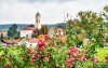 Róże i kościół, Mariandl im Oberwirt, Eggenfelden, Niemcy