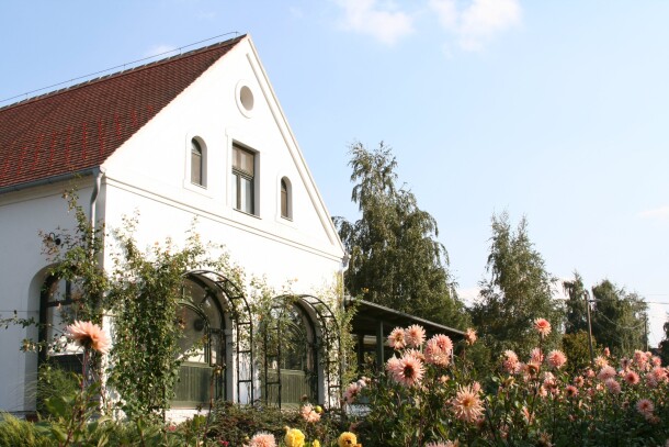 Hotel Tornácos ***superior, Hegykő, Węgry