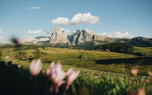 Alpe di Siusi, Tyrol Południowy, Włochy
